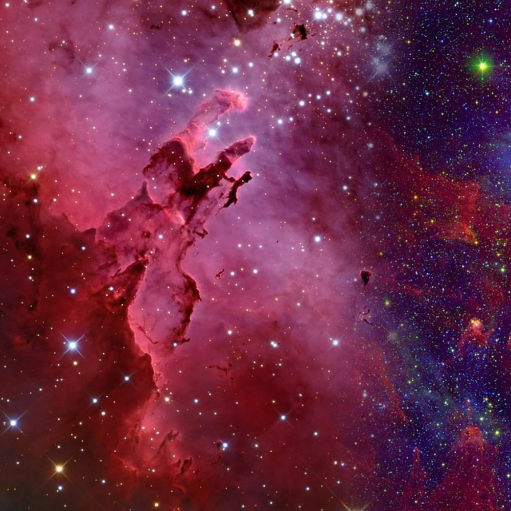 Meet your Posher, Isabella